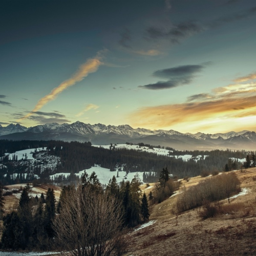 鄰業(yè)進入者，重塑保險生(shēng)态圈